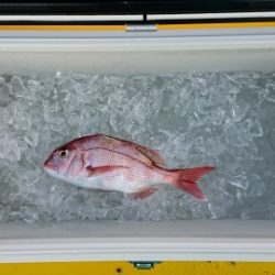 火遠理丸（ほおりまる） 釣果