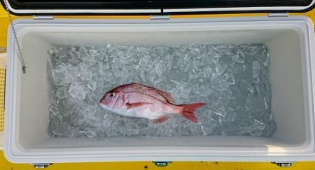 火遠理丸（ほおりまる） 釣果