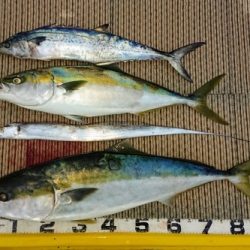 火遠理丸(ほおりまる) 釣果