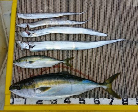 火遠理丸(ほおりまる) 釣果