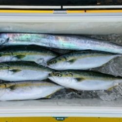 火遠理丸（ほおりまる） 釣果