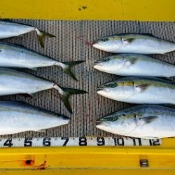 火遠理丸(ほおりまる) 釣果