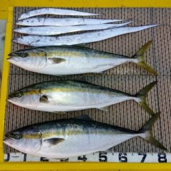 火遠理丸（ほおりまる） 釣果