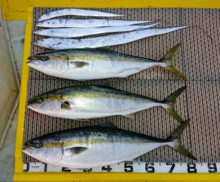 火遠理丸（ほおりまる） 釣果