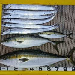 火遠理丸（ほおりまる） 釣果