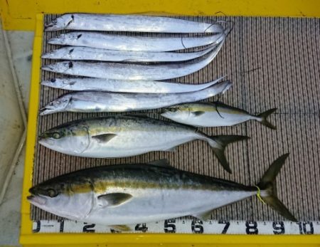 火遠理丸（ほおりまる） 釣果