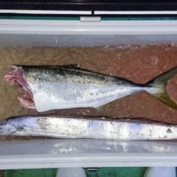 火遠理丸（ほおりまる） 釣果