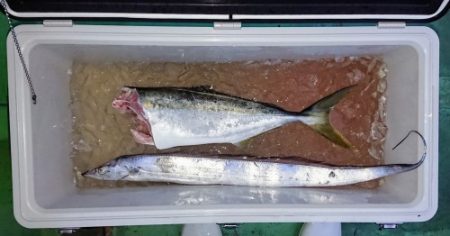 火遠理丸（ほおりまる） 釣果