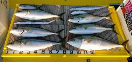 火遠理丸（ほおりまる） 釣果