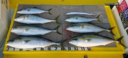 火遠理丸(ほおりまる) 釣果