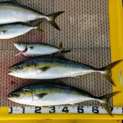 火遠理丸(ほおりまる) 釣果