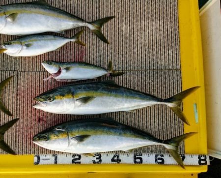 火遠理丸(ほおりまる) 釣果