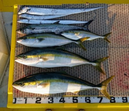 火遠理丸(ほおりまる) 釣果