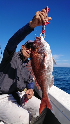 IDATEN(イダテン) 釣果