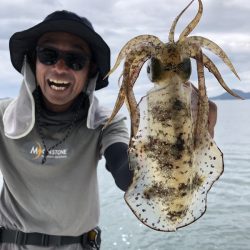 Magic（マジック） 釣果