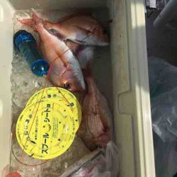 龍宮丸 釣果