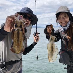 Magic（マジック） 釣果