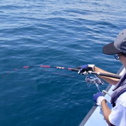 松鶴丸 釣果