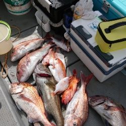 IDATEN（イダテン） 釣果