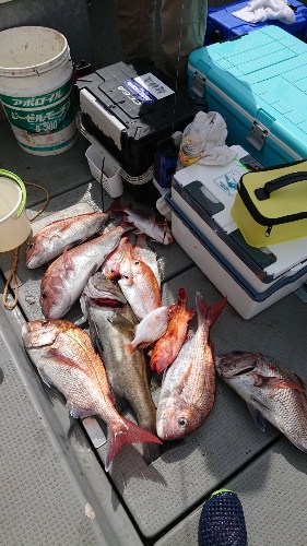 IDATEN（イダテン） 釣果