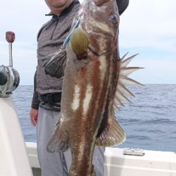 IDATEN（イダテン） 釣果