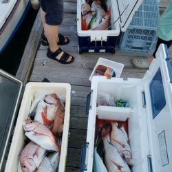 遊漁船　ニライカナイ 釣果