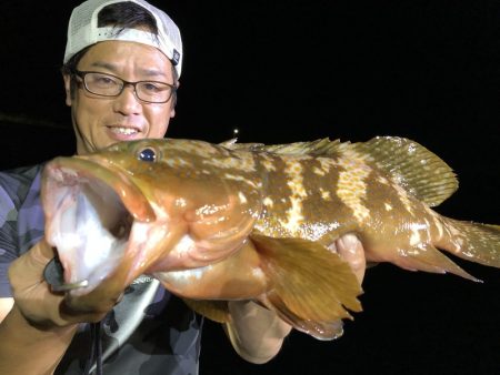 Magic（マジック） 釣果