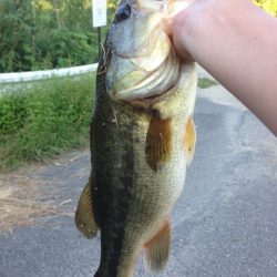 トライザのメリット・デメリット【メガバス（Megabass）トライザ　インプレッション】