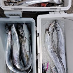 気仙沼　つり丸 釣果