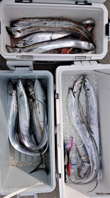 気仙沼　つり丸 釣果