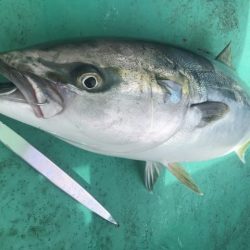 広進丸 釣果