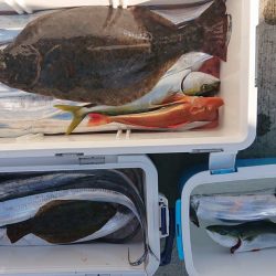 気仙沼　つり丸 釣果