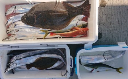 気仙沼　つり丸 釣果