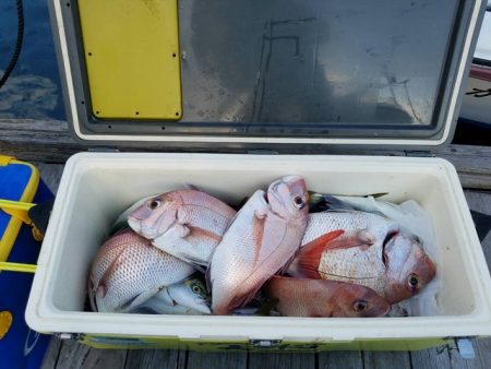 遊漁船 ニライカナイ 釣果