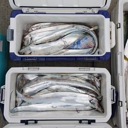 気仙沼　つり丸 釣果