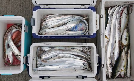 気仙沼　つり丸 釣果