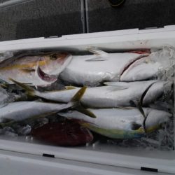 第二大福丸 釣果