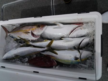 第二大福丸 釣果