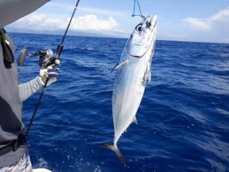 開進丸 釣果