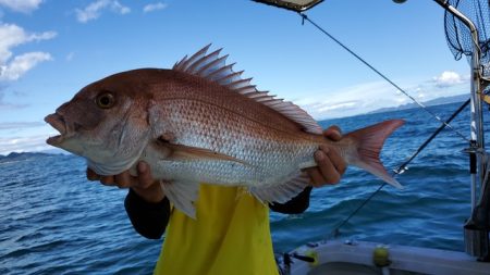 遊漁船 ニライカナイ 釣果