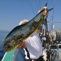 八海丸 釣果