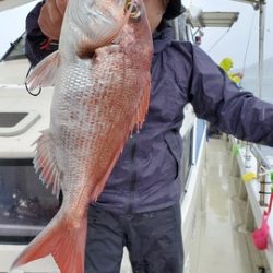 遊漁船　ニライカナイ 釣果
