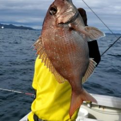 遊漁船 ニライカナイ 釣果