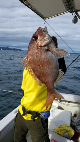 遊漁船 ニライカナイ 釣果