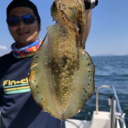 Magic(マジック) 釣果