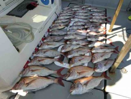 遊漁船 セトマリン 釣果