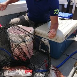 IDATEN(イダテン) 釣果