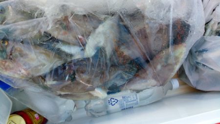 弘福丸 釣果