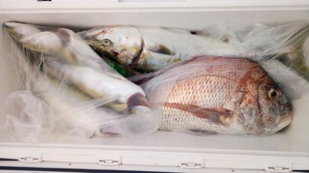 弘福丸 釣果