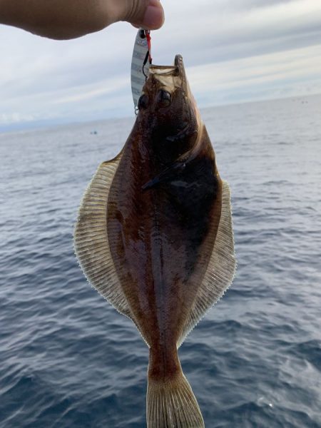 ジャックアイエースで新ジャンル『ソウハチジギング』開拓！？【ハヤブサ（Hayabusa）ジャックアイエース　インプレッション】